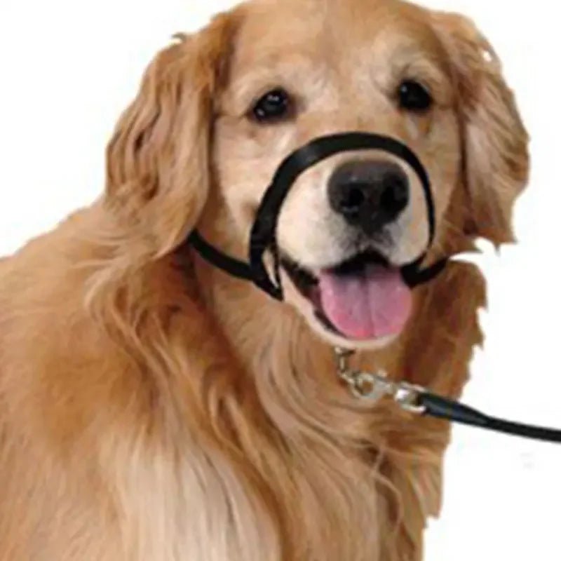 QuietFit –Muilkorf voor honden - Duke & Scoop