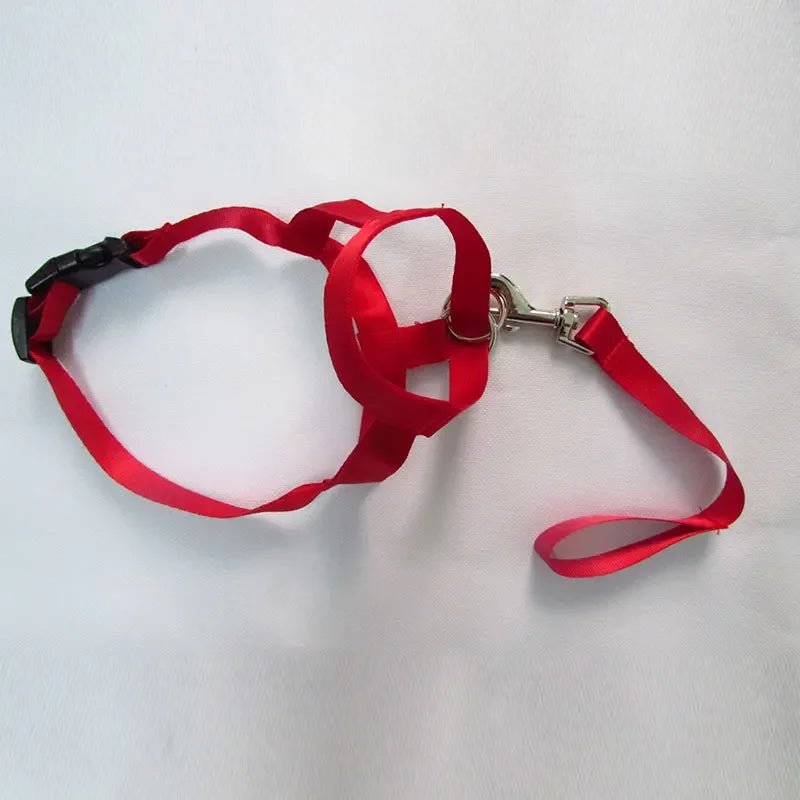 QuietFit –Muilkorf voor honden - Duke & Scoop