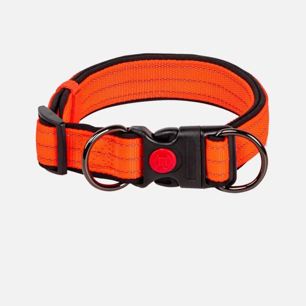 Reflecterende Hondenhalsband met Dubbele D - Ring - Duke & Scoop