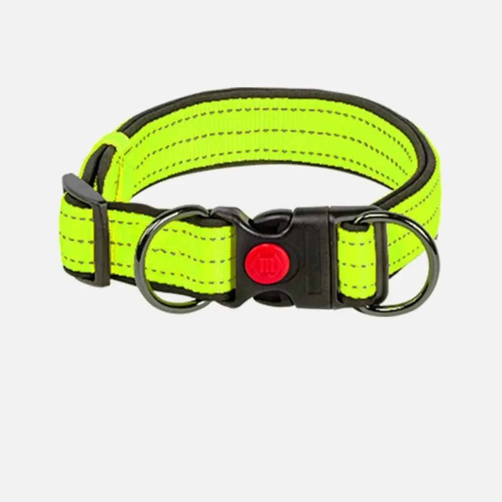 Reflecterende Hondenhalsband met Dubbele D - Ring - Duke & Scoop