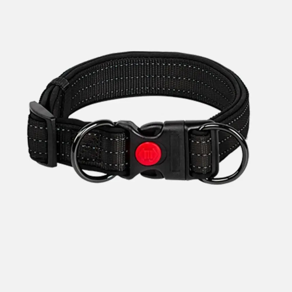 Reflecterende Hondenhalsband met Dubbele D - Ring - Duke & Scoop