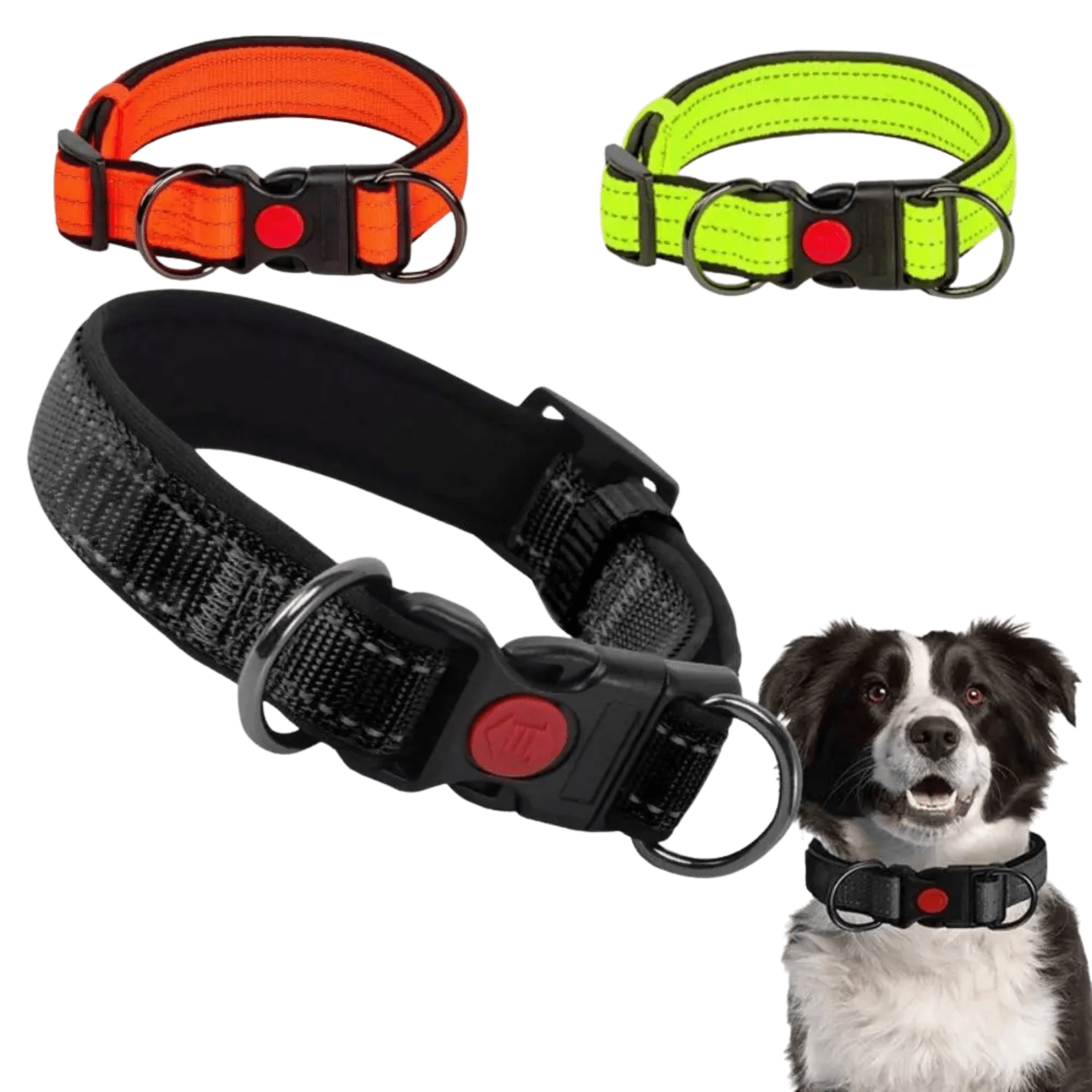 Reflecterende Hondenhalsband met Dubbele D - Ring - Duke & Scoop