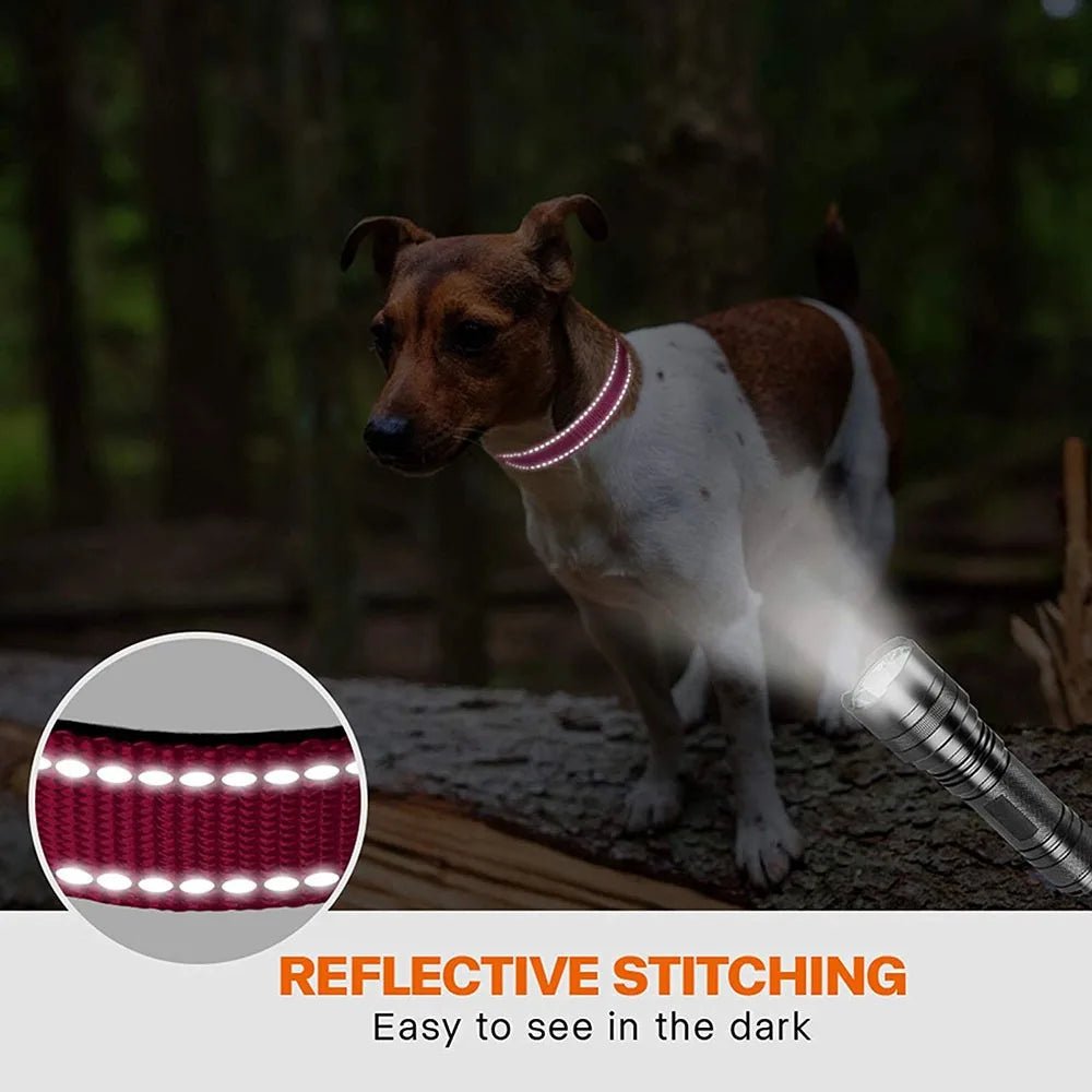 Reflecterende Hondenhalsband met Dubbele D - Ring - Duke & Scoop