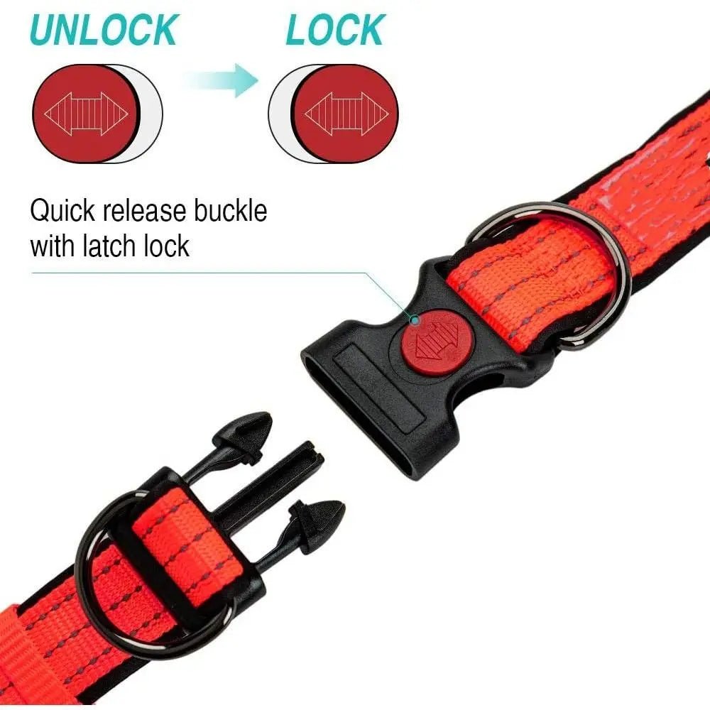 Reflecterende Hondenhalsband met Dubbele D - Ring - Duke & Scoop