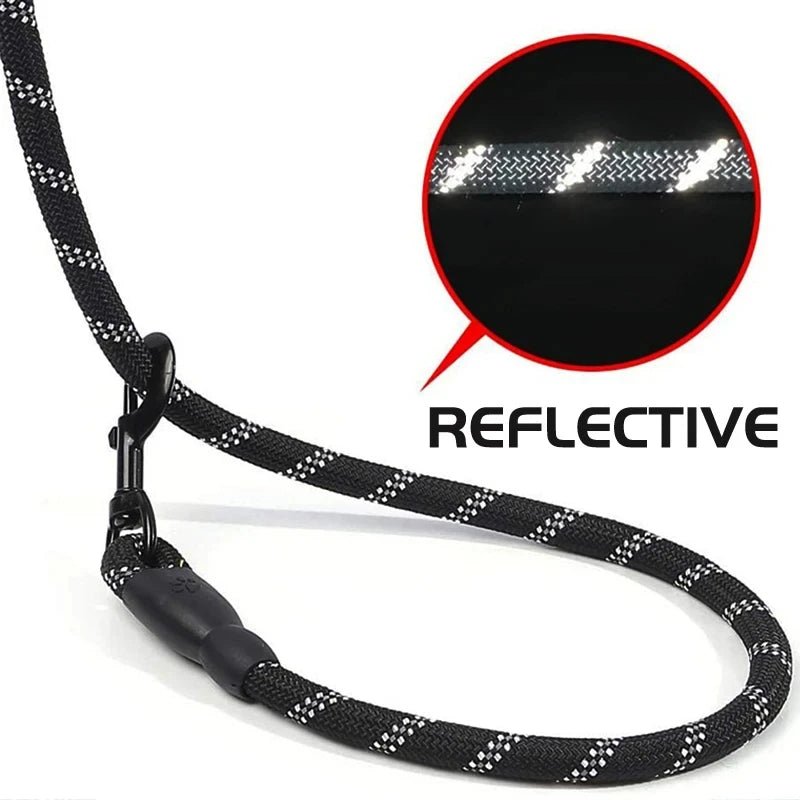 Reflecterende Hondenriem – Comfort & Controle - Duke & Scoop