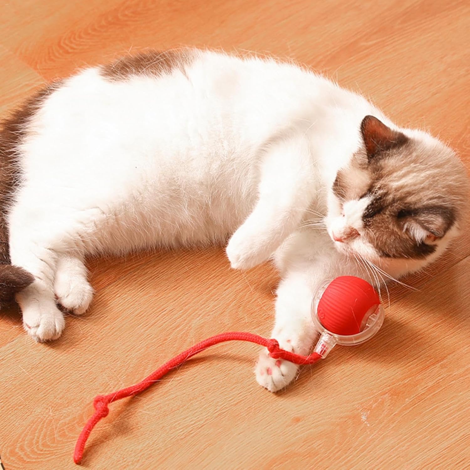 Roll & Play - Interactieve Bal - Duke & Scoop