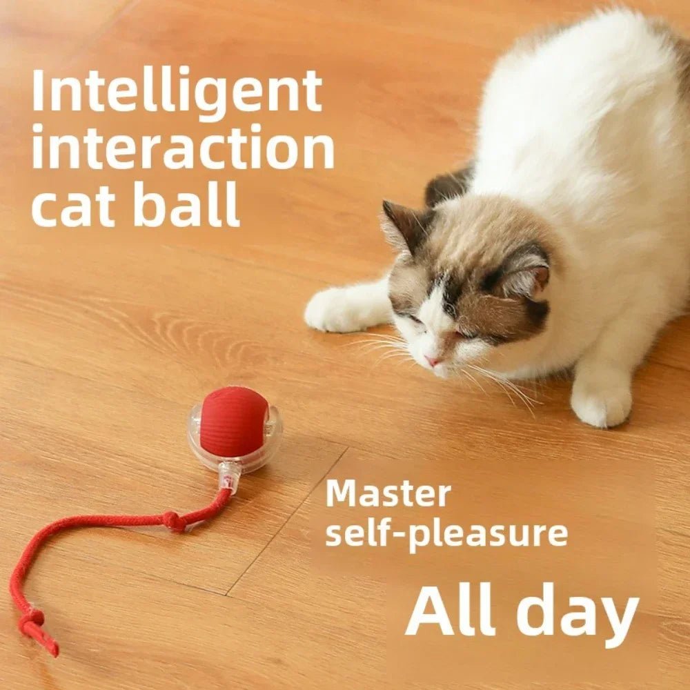Roll & Play - Interactieve Bal - Duke & Scoop