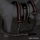 RunPaw Handsfree Uittrekbare Hondenriem - Duke & Scoop