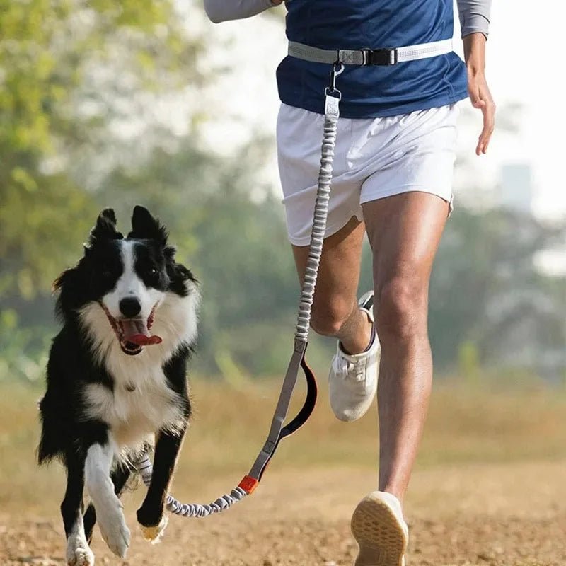 RunPaw Handsfree Uittrekbare Hondenriem - Duke & Scoop