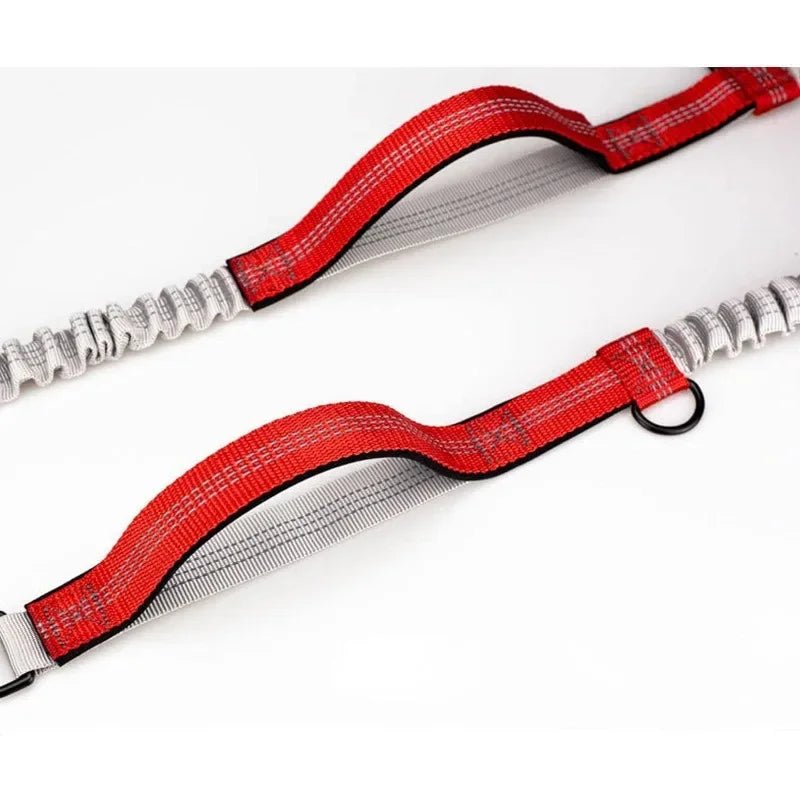 RunPaw Handsfree Uittrekbare Hondenriem - Duke & Scoop