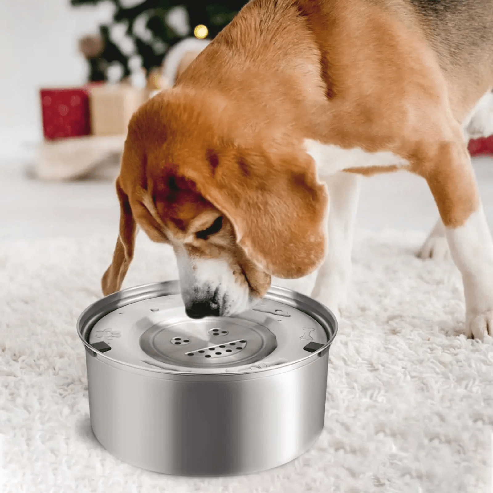 RVS Anti - Mors Waterbak voor Honden – 1L of 3L - Duke & Scoop