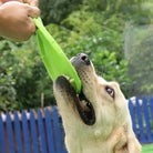 Siliconen Frisbee Hondenspeelgoed - Duke & Scoop