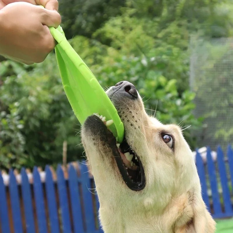 Siliconen Frisbee Hondenspeelgoed - Duke & Scoop
