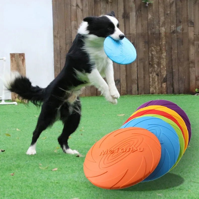 Siliconen Frisbee Hondenspeelgoed - Duke & Scoop