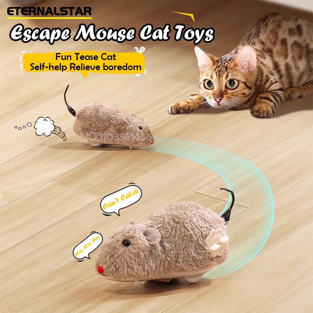 Simulatie Muis voor Katten - Duke & Scoop