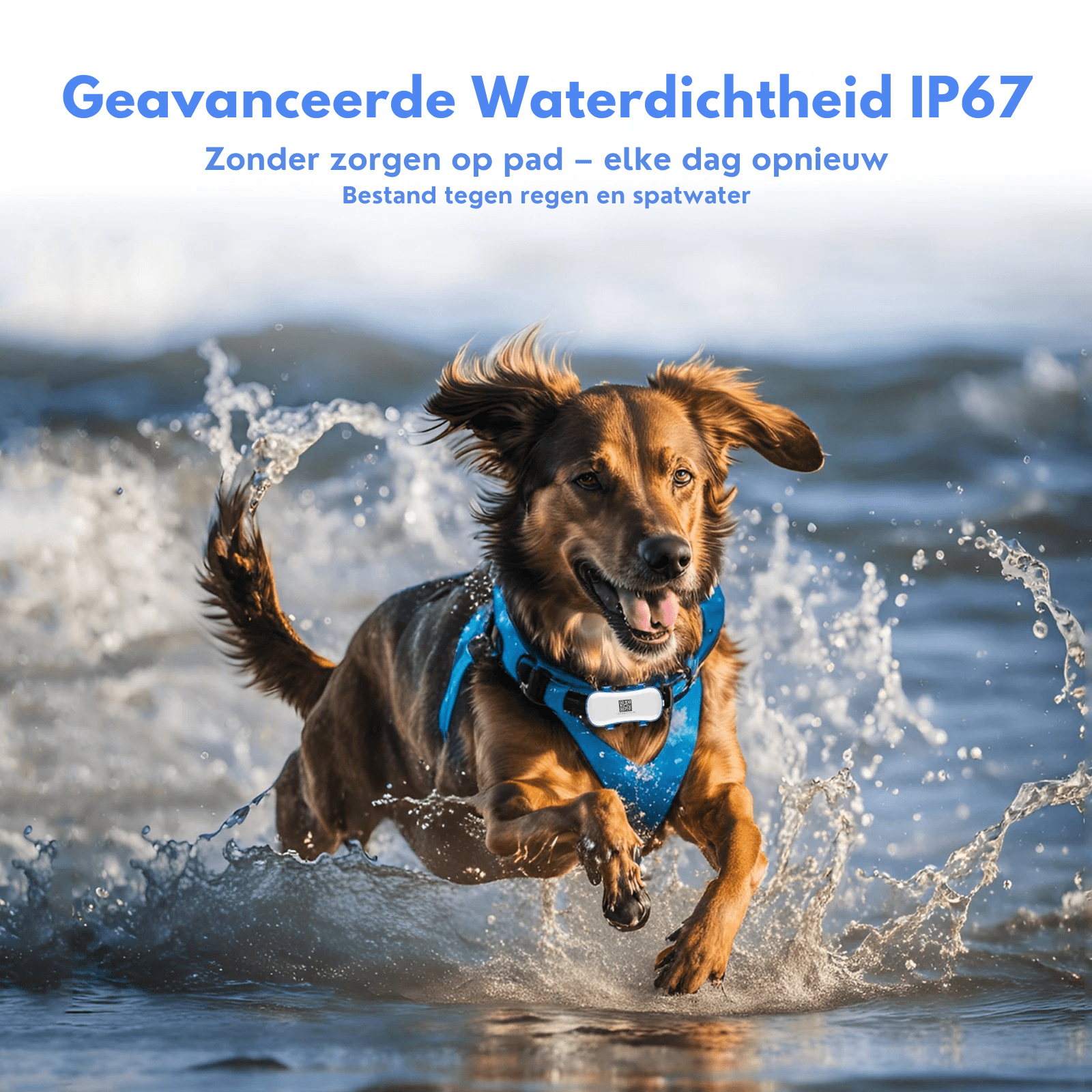 Slimme 4G GPS Tracker voor je Huisdier - Duke & Scoop
