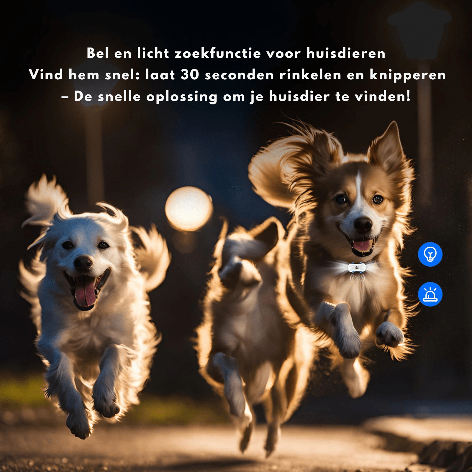 Slimme 4G GPS Tracker voor je Huisdier - Duke & Scoop