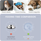 Slowfeeder Voerplaat voor Honden en Katten - Duke & Scoop