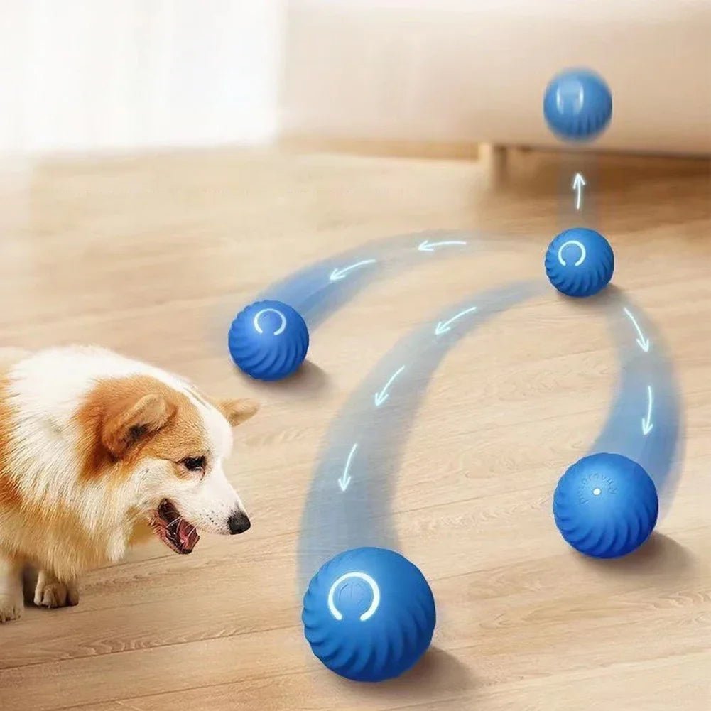 Smart Bal – Elektrisch Rollend Speelgoed voor Honden en Katten - Duke & Scoop