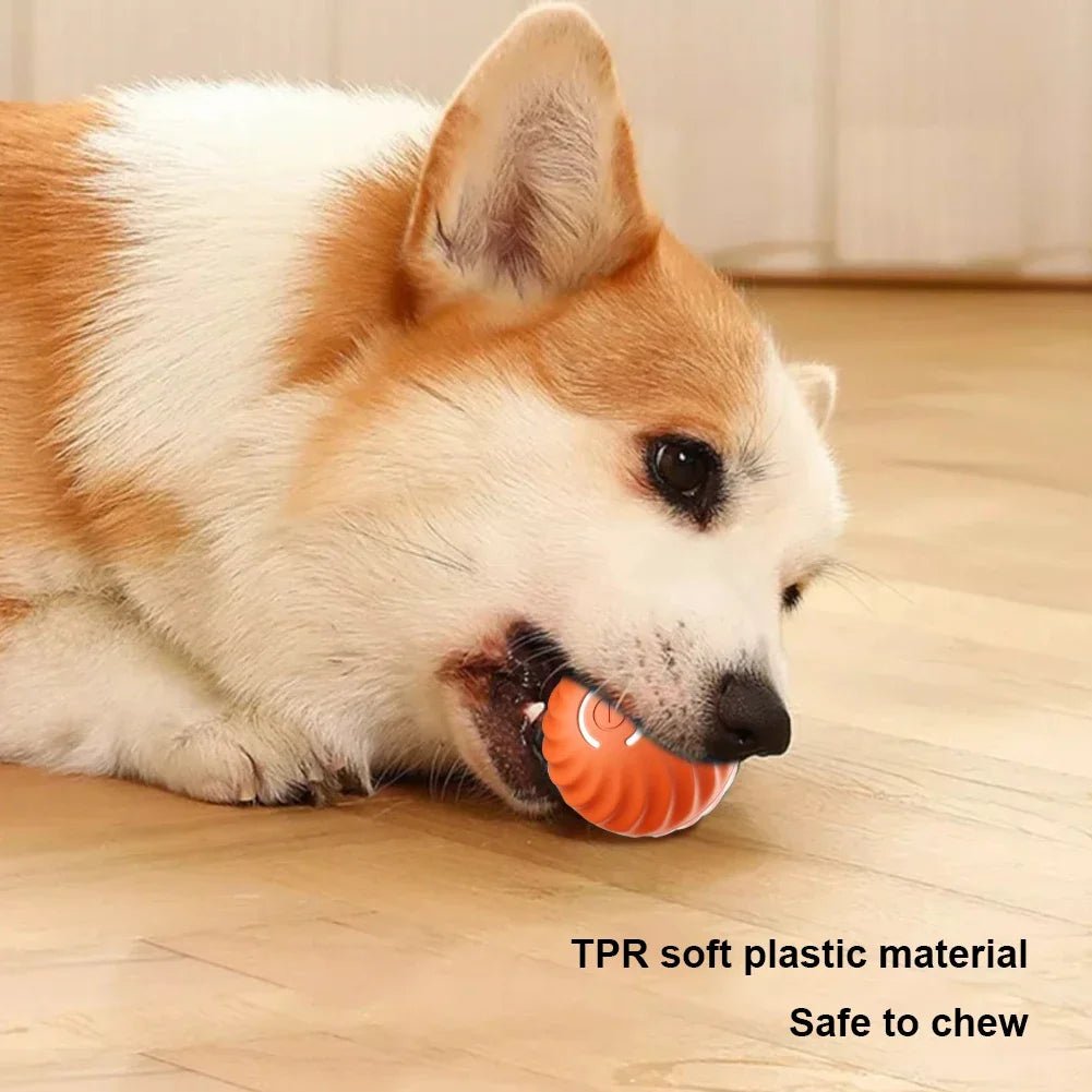 Smart Bal – Elektrisch Rollend Speelgoed voor Honden en Katten - Duke & Scoop