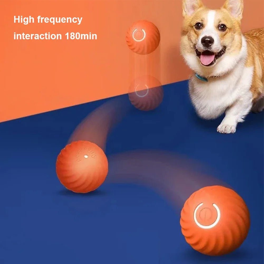 Smart Bal – Elektrisch Rollend Speelgoed voor Honden en Katten - Duke & Scoop