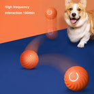Smart Bal – Elektrisch Rollend Speelgoed voor Honden en Katten - Duke & Scoop