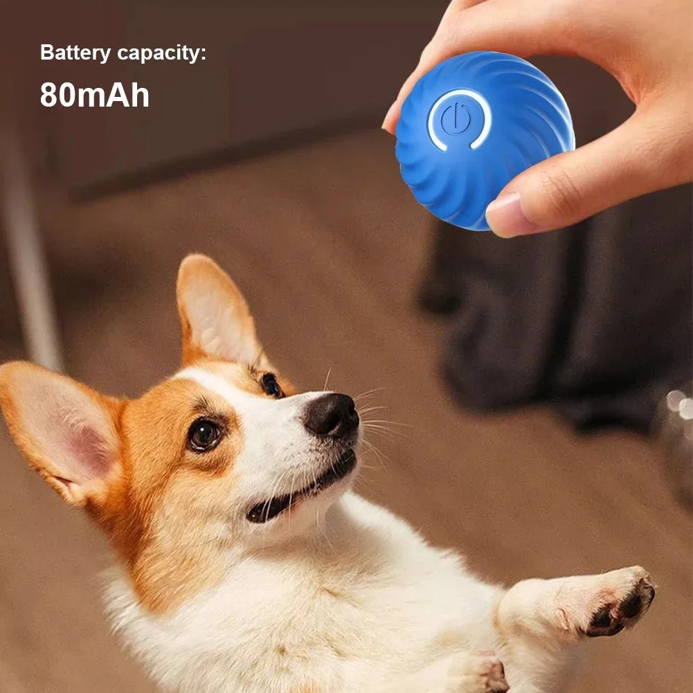 Smart Bal – Elektrisch Rollend Speelgoed voor Honden en Katten - Duke & Scoop