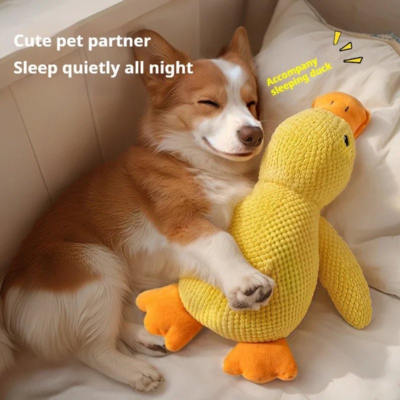 SnuggleQuack Pluche Hondenspeelgoed – Zachte Knuffeleend - Duke & Scoop