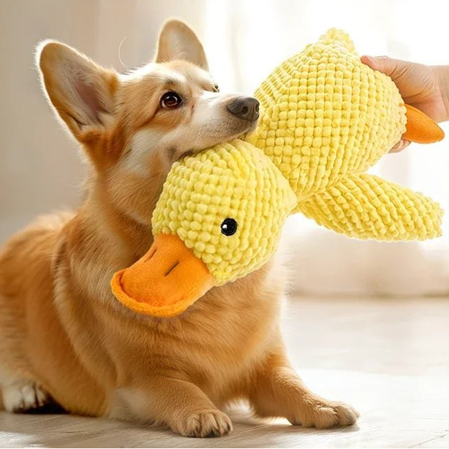 SnuggleQuack Pluche Hondenspeelgoed – Zachte Knuffeleend - Duke & Scoop
