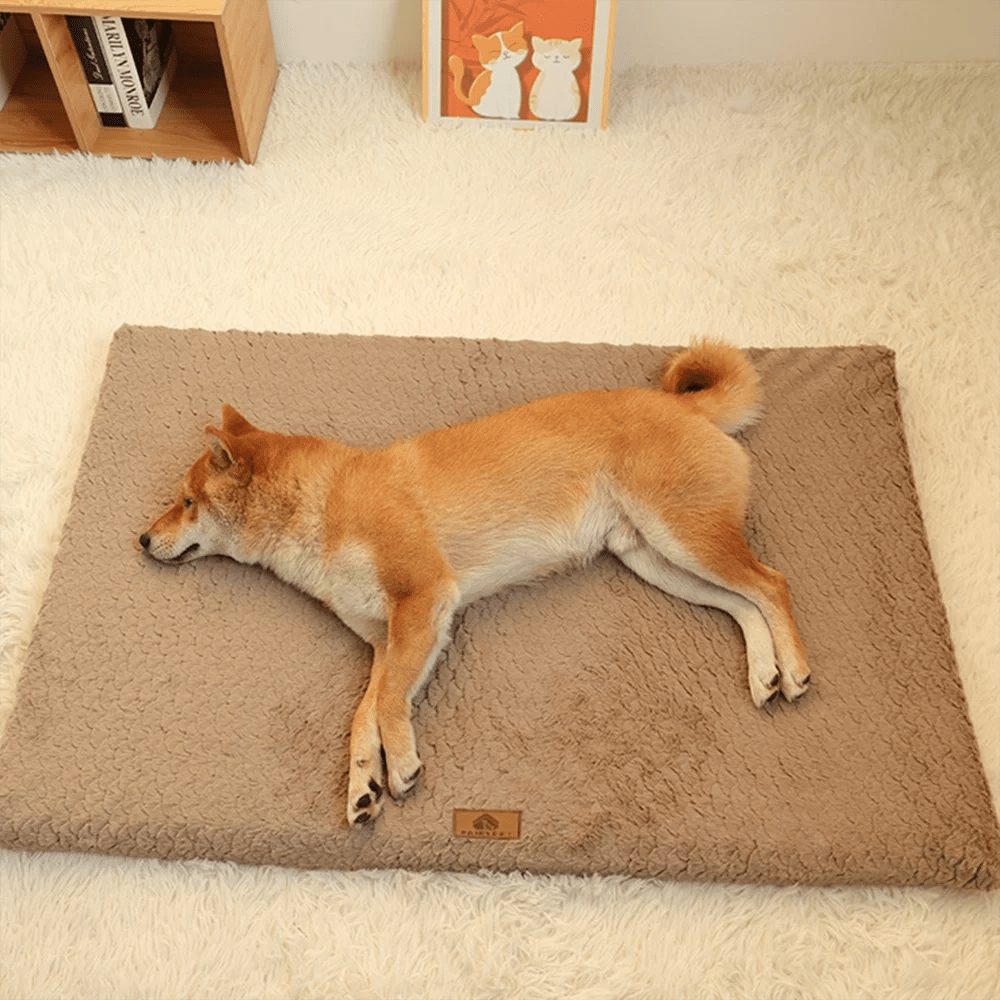SnuggleRest Orthopedisch Hondenkussen - Duke & Scoop