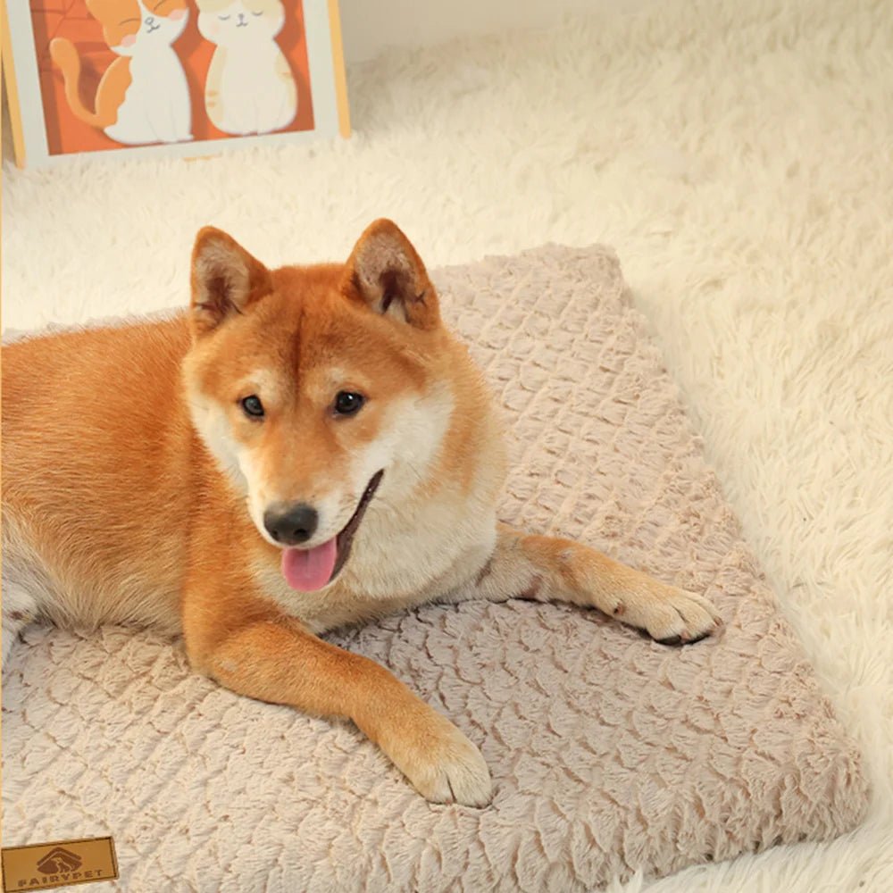 SnuggleRest Orthopedisch Hondenkussen - Duke & Scoop