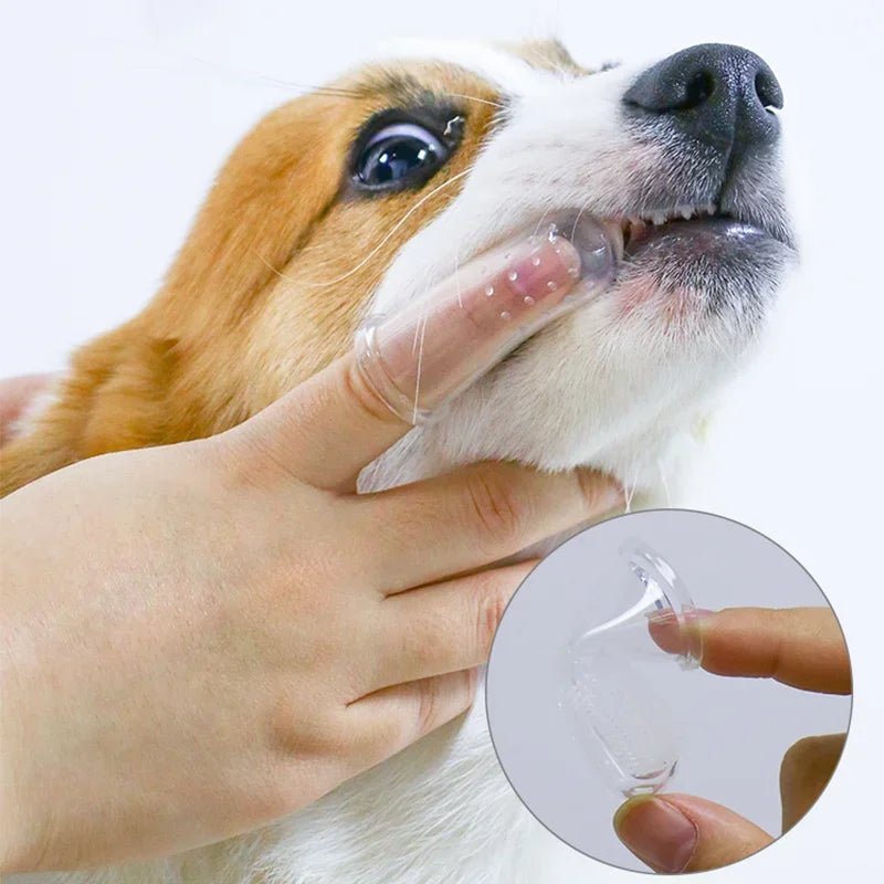 SoftBristle - Vinger Tandenborstel voor Honden en Katten - Duke & Scoop