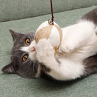Speelse Kattenhengel met Veertjes - Duke & Scoop