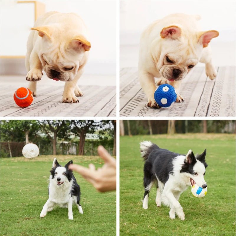 Squeaky Hondenspeetje in Sportbal Design - Duke & Scoop