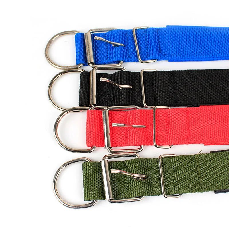 Sterke Nylon Hondenhalsband - Duke & Scoop
