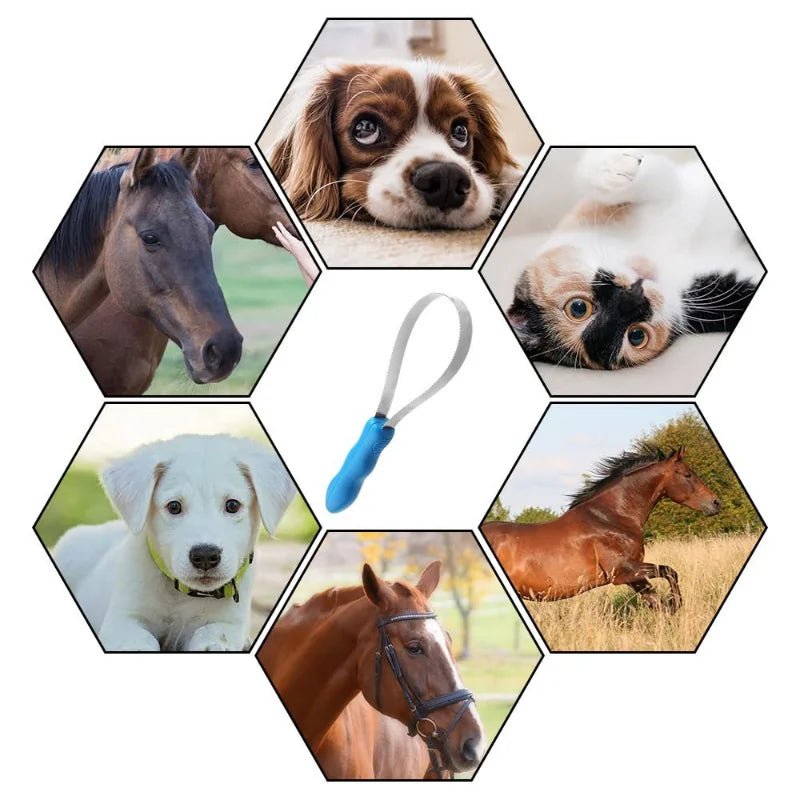 Sterke Zweetschraper voor Dieren - Duke & Scoop