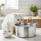 Stille RVS Automatische Waterfontein - Duke & Scoop