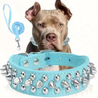 Stoere Leren Halsband met Spikes en Matching Riem - Duke & Scoop