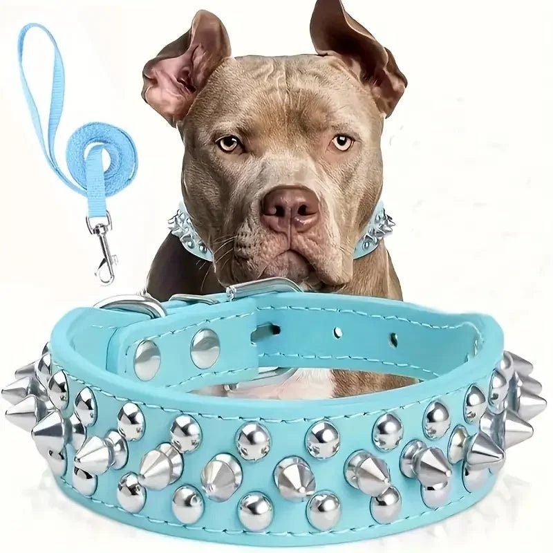 Stoere Leren Halsband met Spikes en Matching Riem - Duke & Scoop