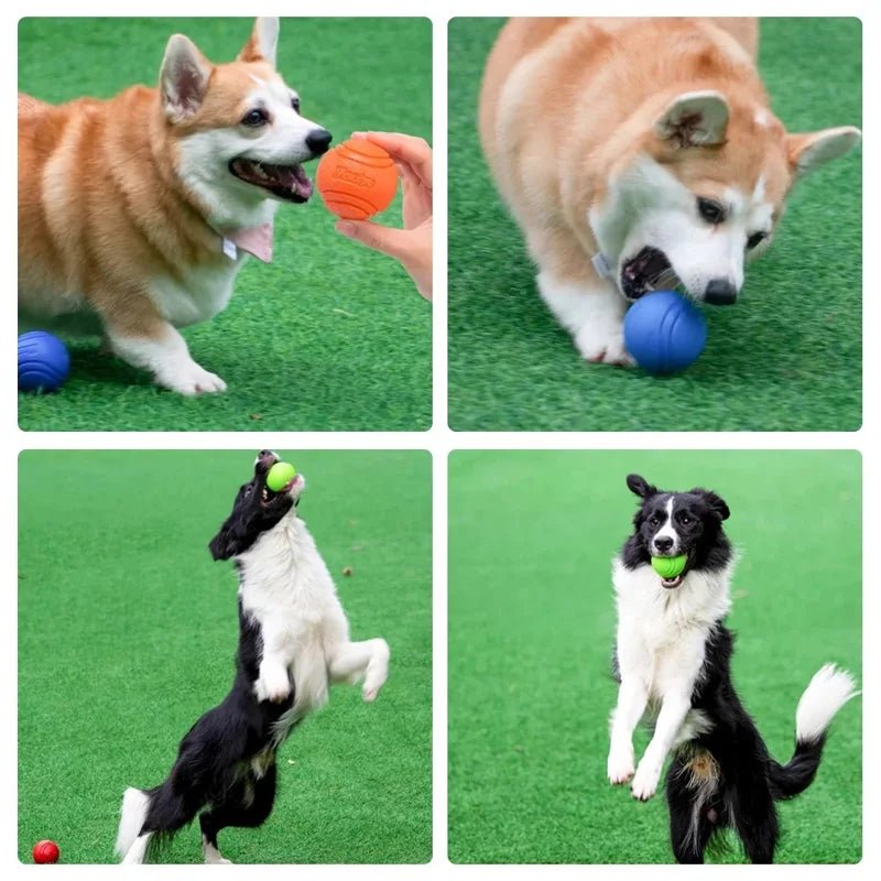 Stuiterende Rubberen Kauwbal - Duke & Scoop