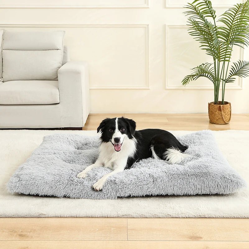 Superzacht Lange Pluche Hondenmand - Duke & Scoop