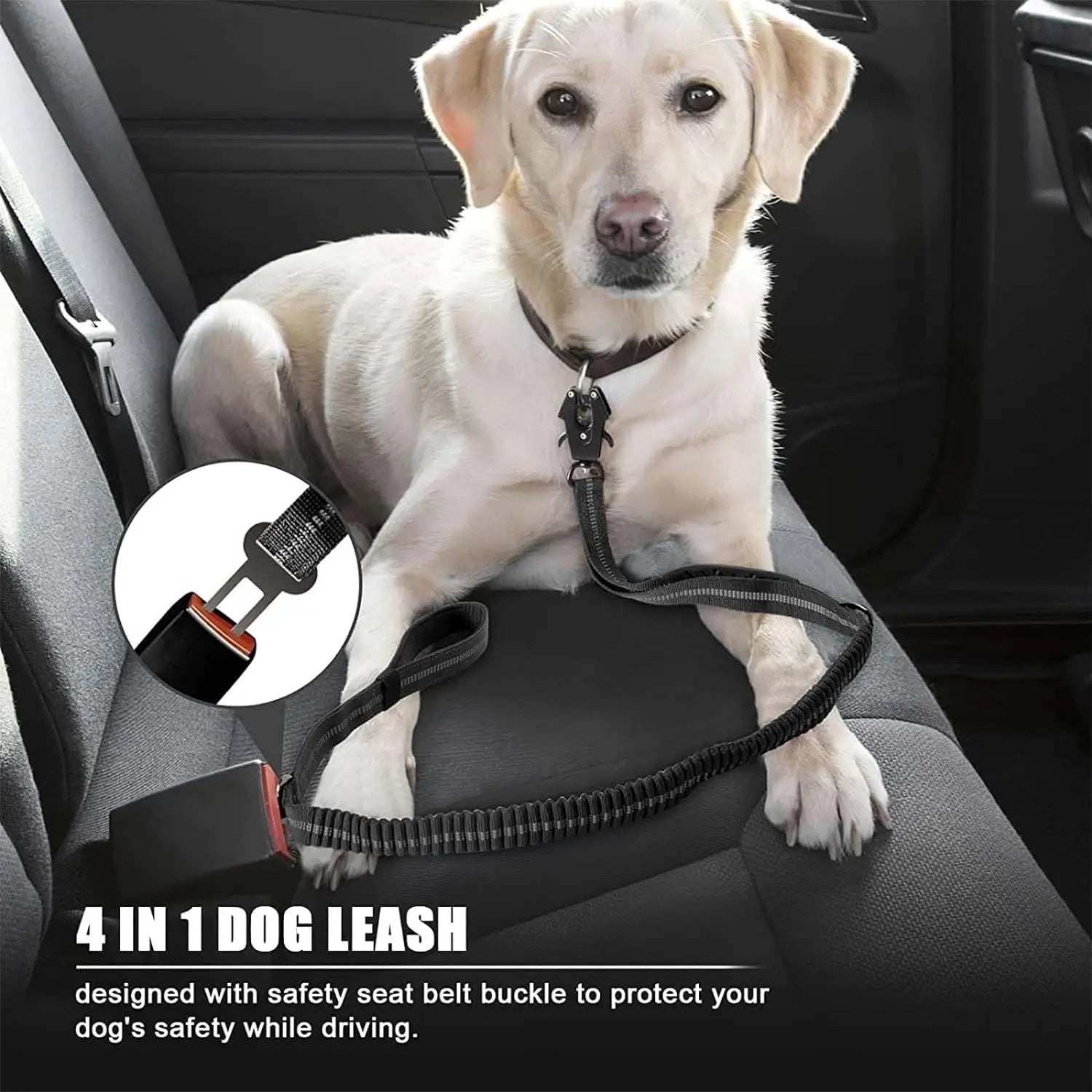 TactiPaw Bungee Hondenriem – Sterke Autogordelbevestiging - Duke & Scoop