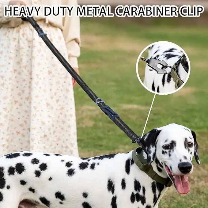 TactiPaw Bungee Hondenriem – Sterke Autogordelbevestiging - Duke & Scoop
