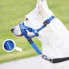 Training Muilkorf - Halti Stijl - Duke & Scoop