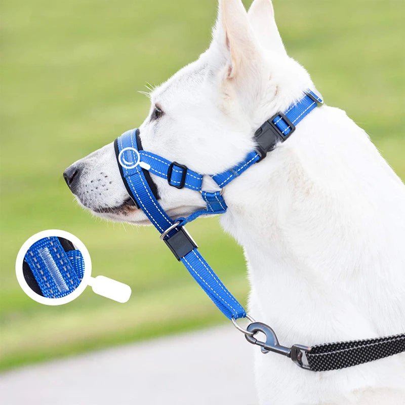 Training Muilkorf - Halti Stijl - Duke & Scoop