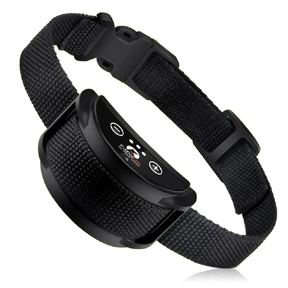 Trainings - Anti - Blaf Halsband - Duke & Scoop