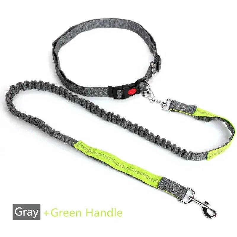 Uittrekbare Heupriem – Handsfree Hondenlijn - Duke & Scoop