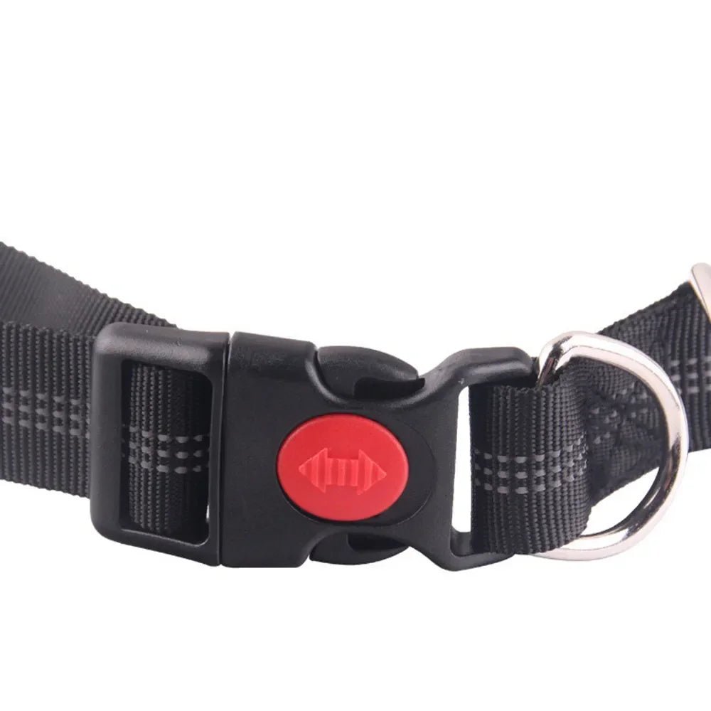 Uittrekbare Heupriem – Handsfree Hondenlijn - Duke & Scoop