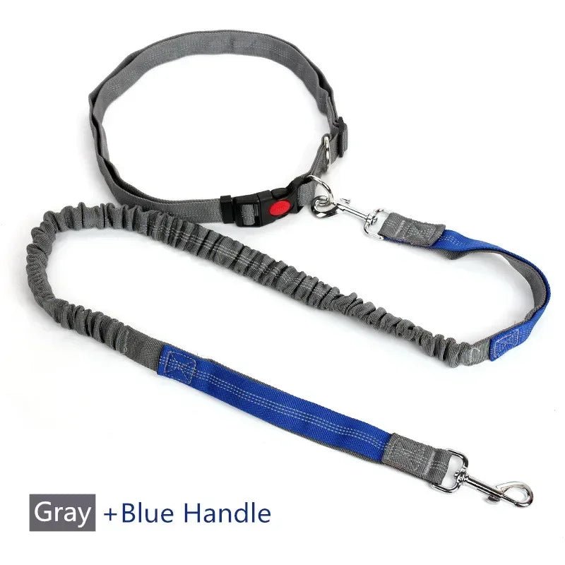 Uittrekbare Heupriem – Handsfree Hondenlijn - Duke & Scoop