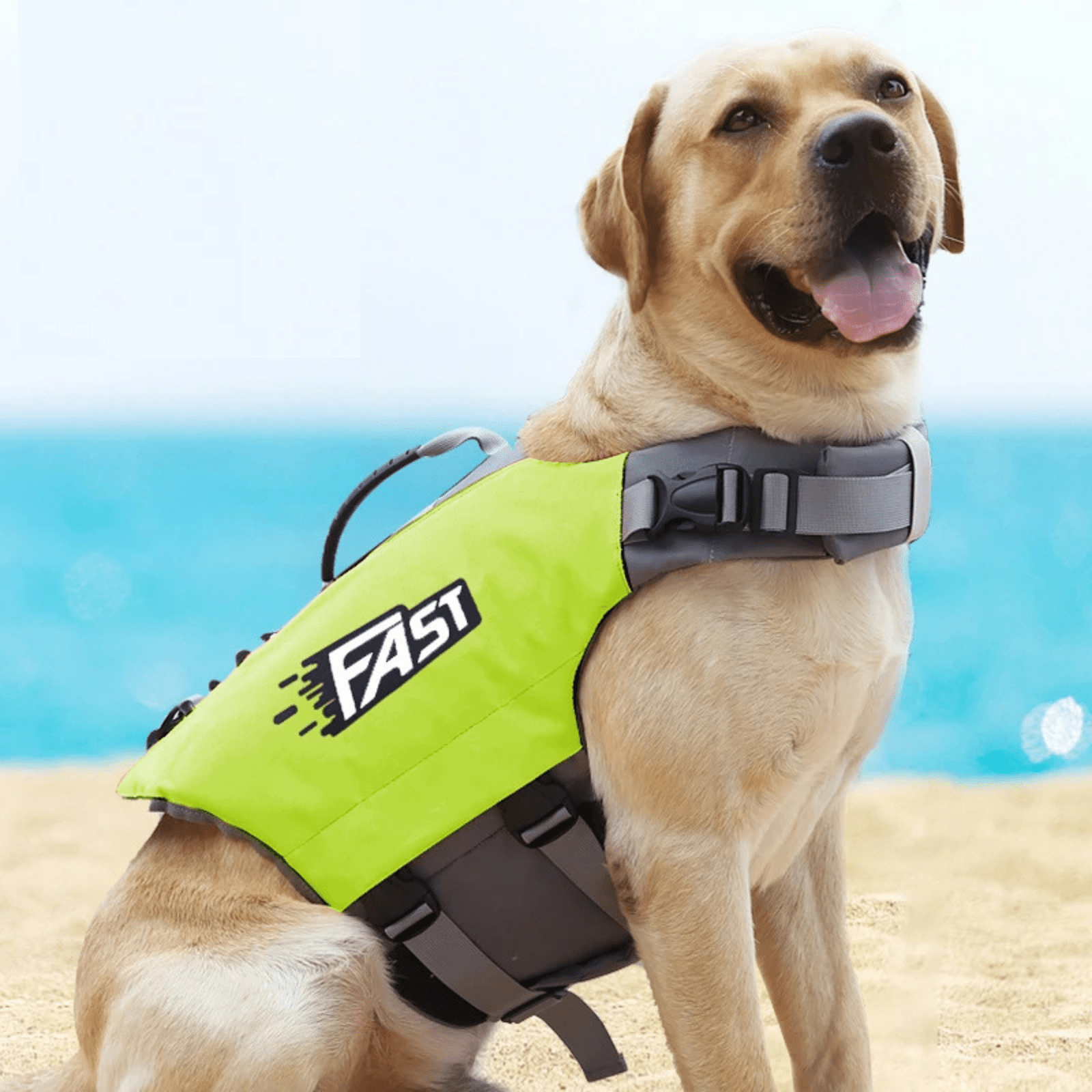 Ultimate Fast Zwemvest voor Honden - Duke & Scoop
